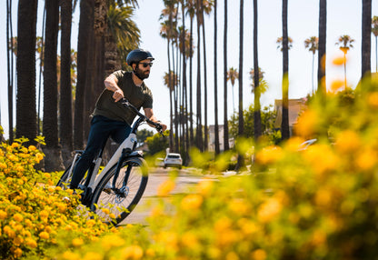 Royal Dutch Gazelle: Arroyo C5 2.0 (2026)