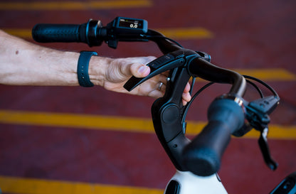 Royal Dutch Gazelle: Arroyo C5 2.0 (2026)