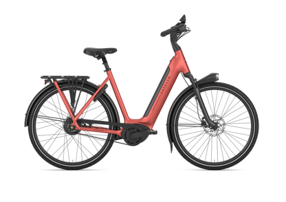 Royal Dutch Gazelle: Arroyo C380 HMB Elite