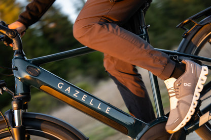 Royal Dutch Gazelle: Medeo T10 HMB LTD
