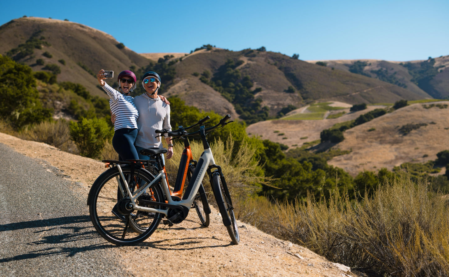 Royal Dutch Gazelle: Arroyo C380 HMB Elite