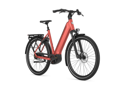 All New - Royal Duch Gazelle: Ultimate C5 HMB