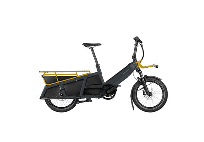 Riese & Müller: MultiTinker Vario