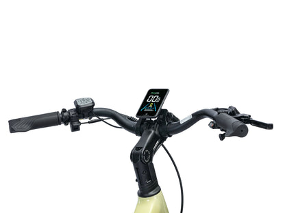 Troxus: Trax LT
