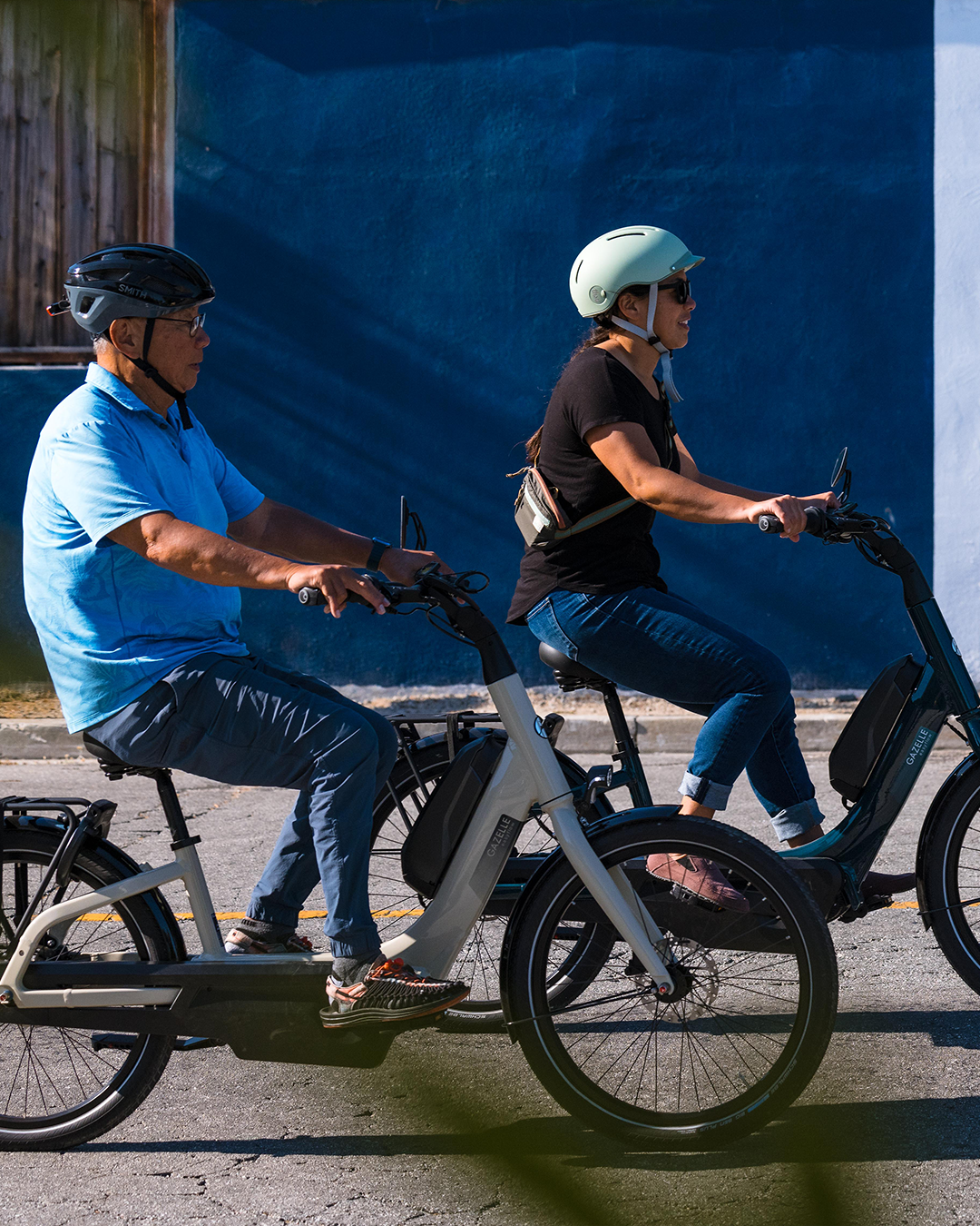 Royal Dutch Gazelle: EasyFlow C7 HMB eBike