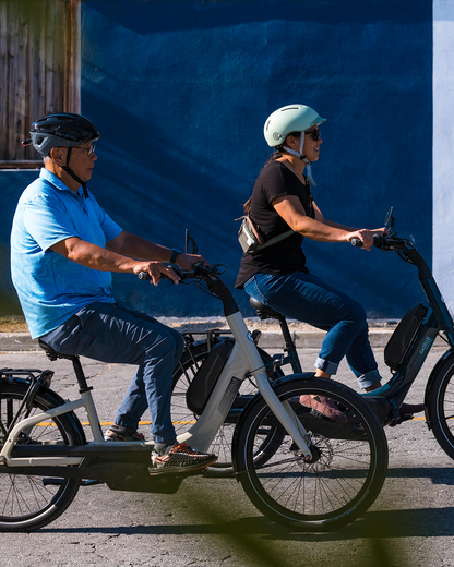 Royal Dutch Gazelle: EasyFlow C7 HMB eBike