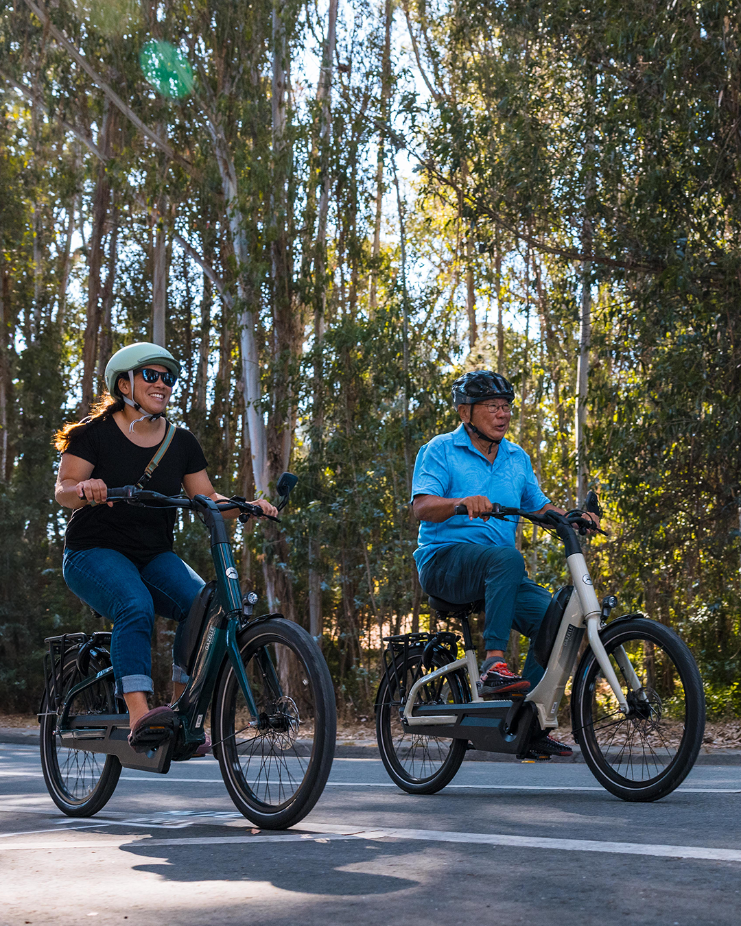 Royal Dutch Gazelle: EasyFlow C7 HMB eBike