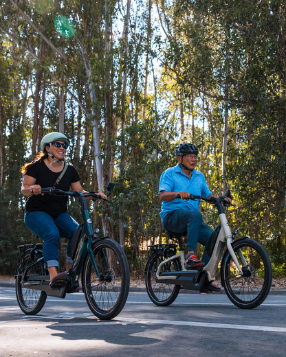 Royal Dutch Gazelle: EasyFlow C7 HMB eBike