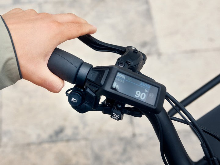 Riese & Müller Homeage5 - Rohloff (2026)