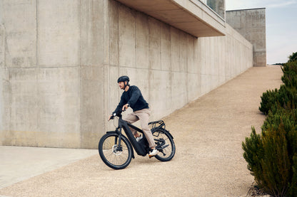 Riese & Müller: Delite5 - Rohloff (2026)